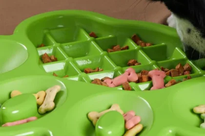 slow feeder dog bowl