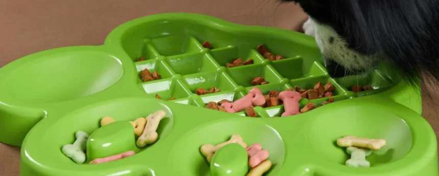 slow feeder dog bowl