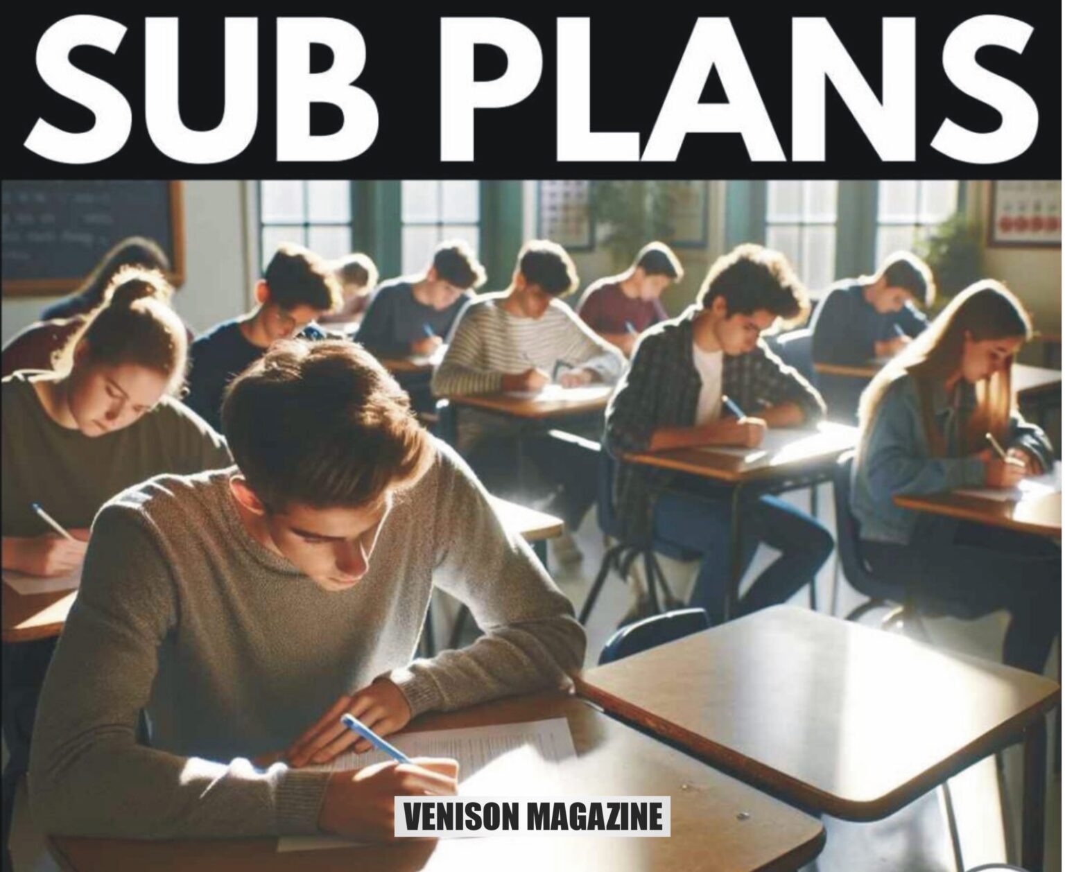 Why Should You Consider Sub Plans?
