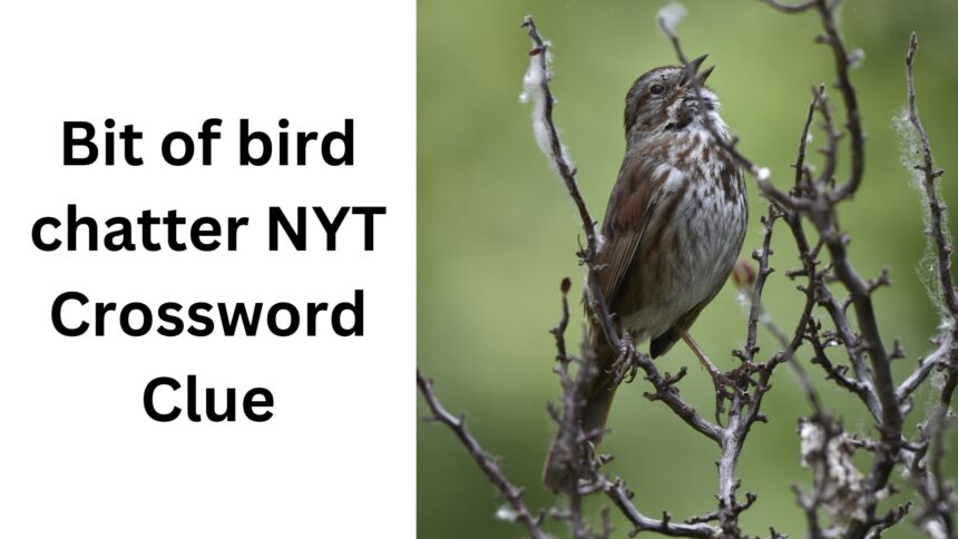 The Fascinating World bit of Bird Chatter NYT