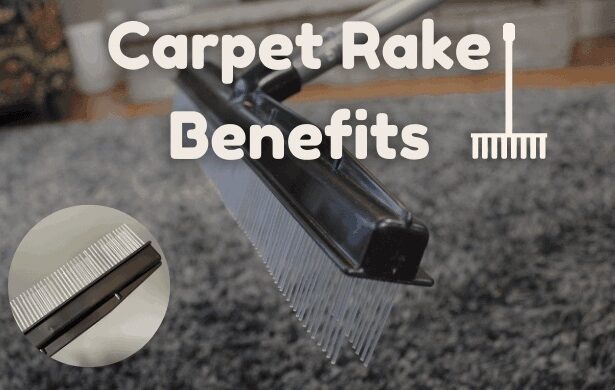 What Are the Benefits of Using a Carpet Rake?