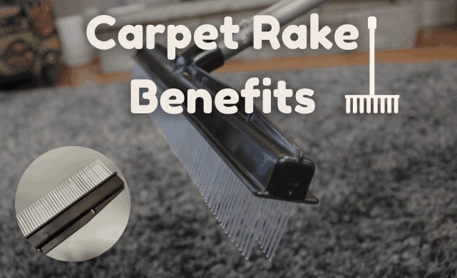 What Are the Benefits of Using a Carpet Rake?