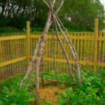 What Are the Benefits of Using Trellis?