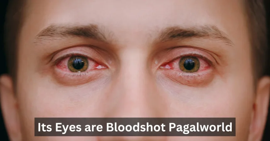 Its Eyes Are Bloodshot Pagalworld What's New