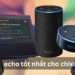 What Are the Latest Updates echo tốt nhất cho chixia