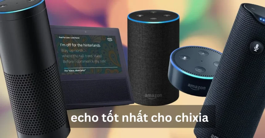 What Are the Latest Updates echo tốt nhất cho chixia