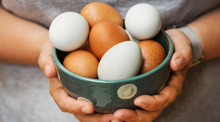 What is the chiken egg deleup process?