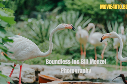 BounDless Inc Bill Menzel Photography