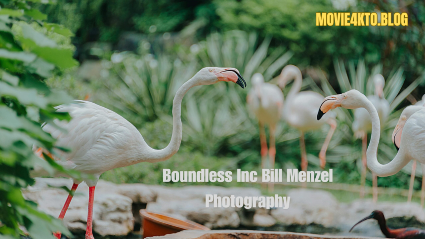 BounDless Inc Bill Menzel Photography