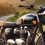 How Do Triumph Bullet Picture Adapt to Their Environment?