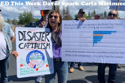 kqed this week david spark carla marinucci