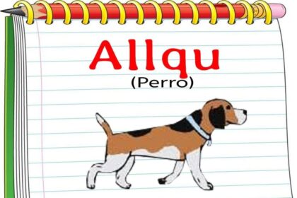Wayqear Pegar Entre Varios Quechua: Bridging Traditions Across Quechua Dialects