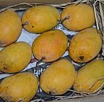 How to Market Yourself as a Alphonso Mango