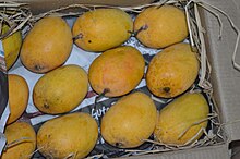 How to Market Yourself as a Alphonso Mango