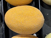 5 Health Benefits of Hami Melon