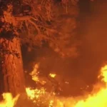 fires in big bear california