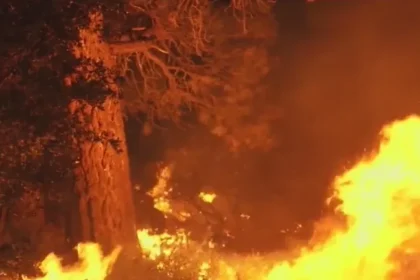 fires in big bear california