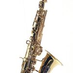 How to Play the Sopranino Saxophone: A Beginner's Guide