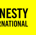 What is the Role of Amnesty International in Human Rights?