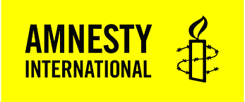 What is the Role of Amnesty International in Human Rights?