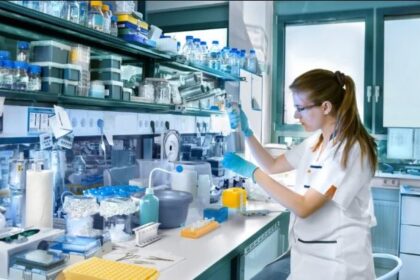 How to Conduct an Effective SBT Labs Evaluation