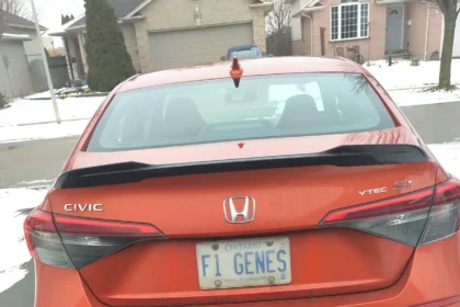 How's Custom license plate ideas