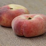 How to Grow Donut Peaches in Your Garden