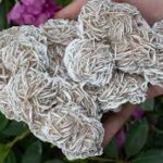 desert rose crystal :Types, and Where to Found it