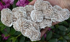 desert rose crystal :Types, and Where to Found it