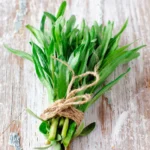 Cooking with Tarragon: A Beginner's Guide