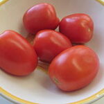 Why Plum Tomatoes Are the Secret Ingredient for Perfect Sauces