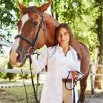 What Is an NS Horse Screen and How Does It Work?