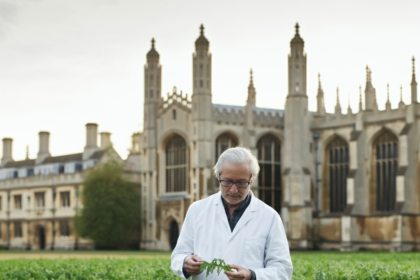 The Arugula Researcher at Cambridge Work is Uncovered