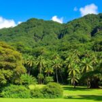 Where Is Manoa District Park? A Comprehensive Guide