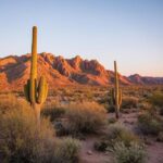Discovering Desert Foothills Park Phoenix: An Oasis of Nature and Tranquility