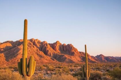 Discovering Desert Foothills Park Phoenix: An Oasis of Nature and Tranquility