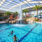 The Waterworks Aquatics Carlsbad: A Premier Destination for Aquatic Enthusiasts