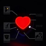 Holter Monitor Instructions